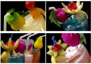 gastro5.jpg